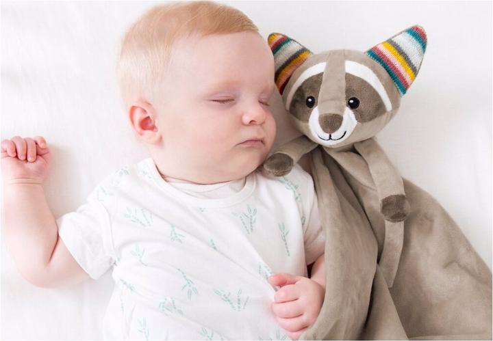 Image du produit ZaZu Doudou avec module sonore amovible