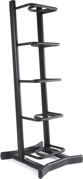 Gladiatorfit Weight Bag Rack