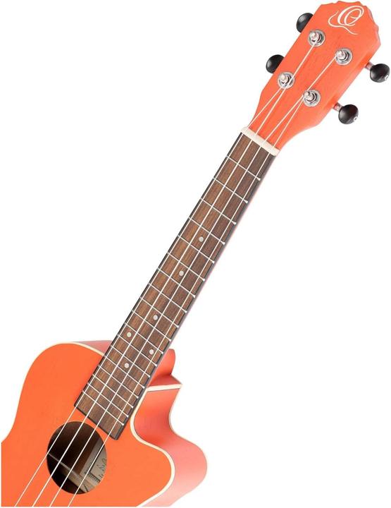 Produktbild Ortega Earth (Akustisch)