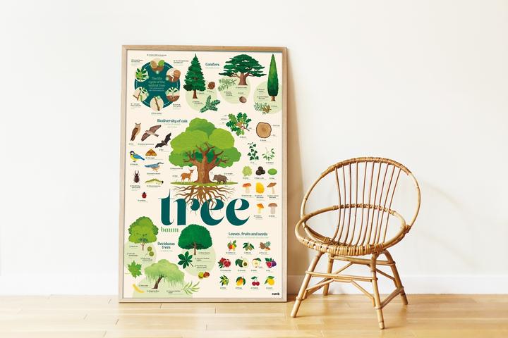 Immagine prodotto Poppik Sticker Lernposter Bäume