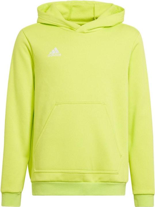 Actual product image adidas Entrada 22 Sweat Hoodie (116)
