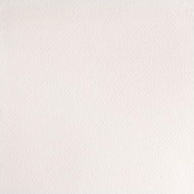 Immagine prodotto Winsor & Newton Watercolour proff. 1/2 pan Chinese White 150