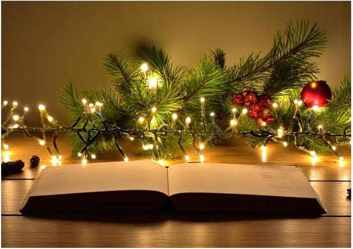 Produktbild Dameco LED Outdoor «Cluster» 960 cm, Betriebsart: Netzbetrieb (9.60 m)