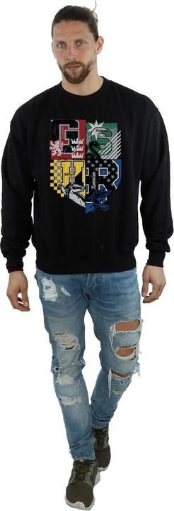 Actual product image Mens Hogwarts Varsity Sweatshirt (XL)