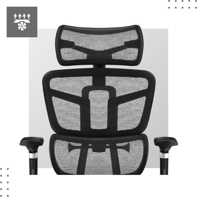 Image du produit Mark Adler MA-Expert (47 - 57 cm)