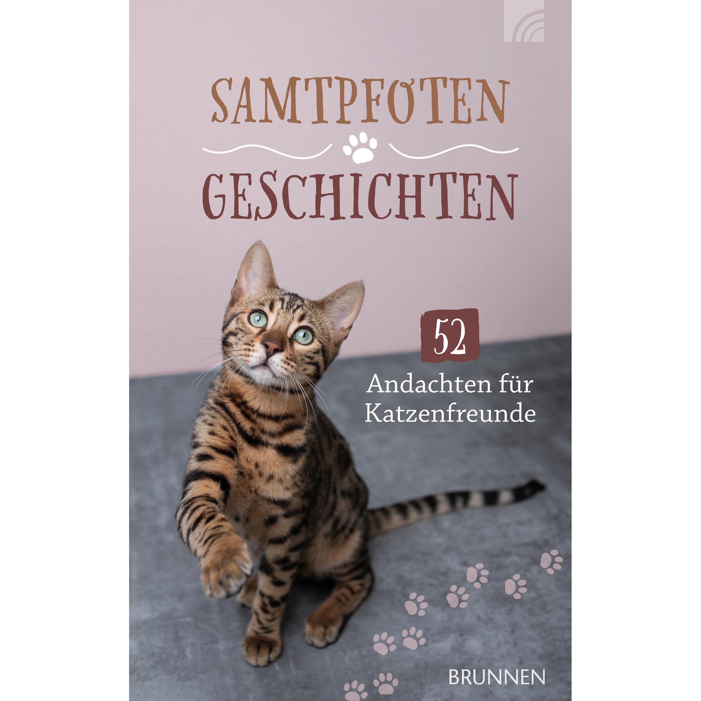Samtpfotengeschichten, Belletristik von Broadstreet Publishing Group Llc