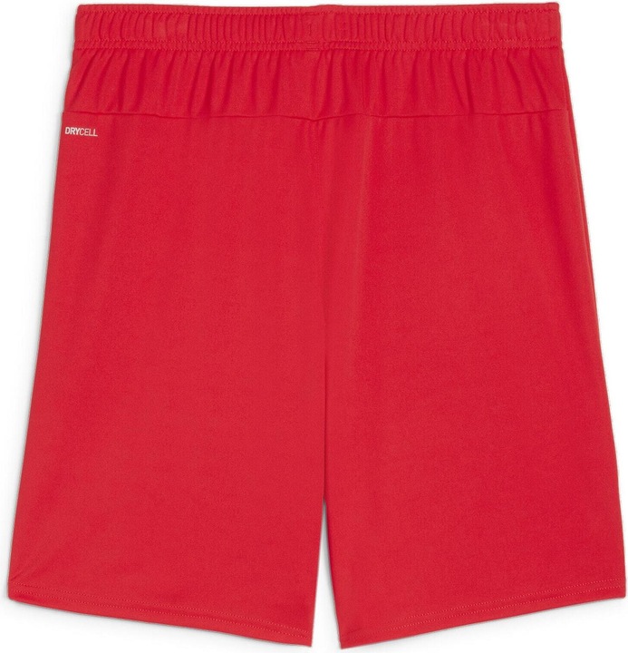 Actual product image Puma teamGOAL shorts (M)