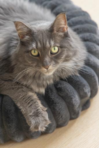 Actual product image Designed by Lotte Katzenbett rund (Cat)