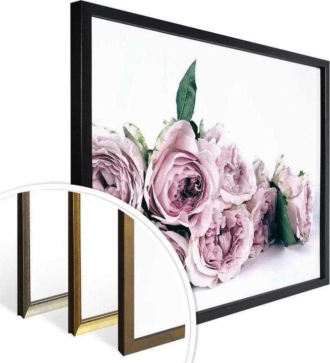 Produktbild Trenddeko Violette Pfingstrosen (80 x 60 cm)