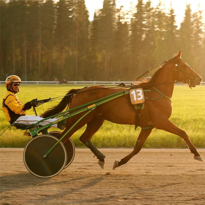 Image du produit Polar Sangle Equine 93046682