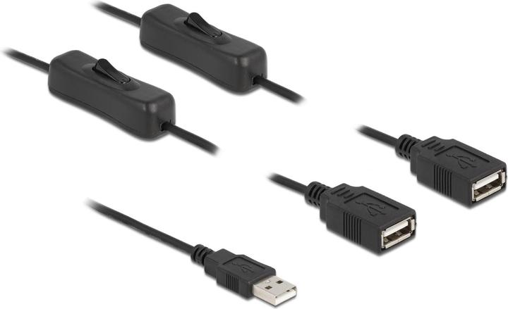 Actual product image Delock 2in1 (1 m, USB 2.0, 10 W)