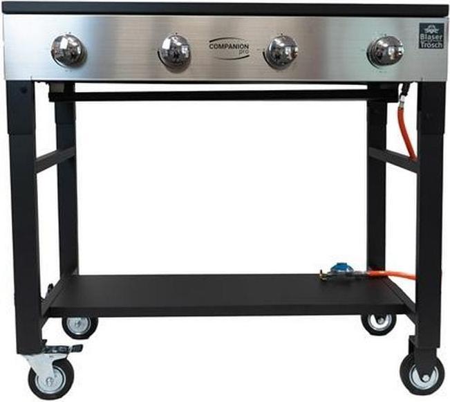 Produktbild Blaser + Trösch Companion Pro (14.04 kW)