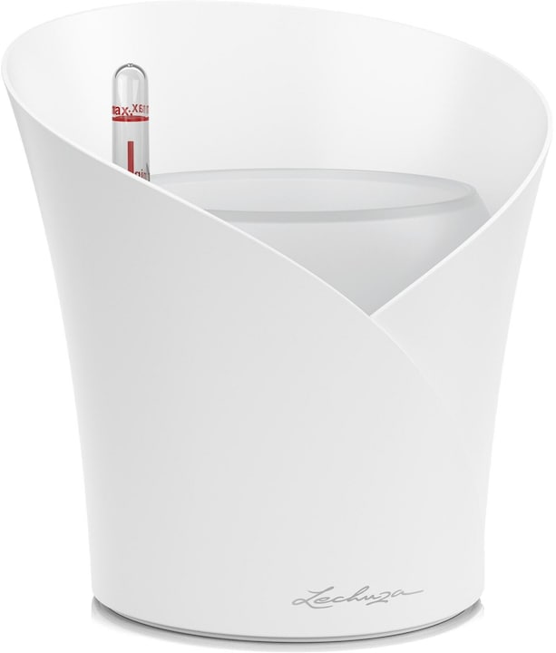 Actual product image Lechuza Orchidea (17.90 cm)