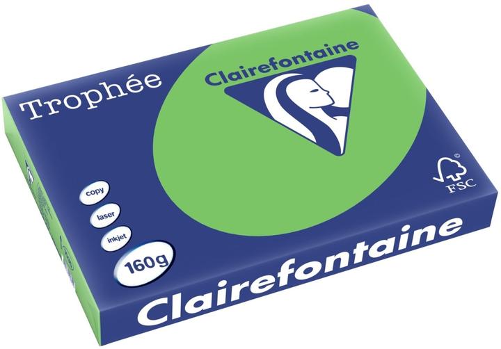Produktbild Clairalfa Multifunktionspapier, DIN A3, 160 g/qm, maigrn (160 g/m², 250 x, A3)