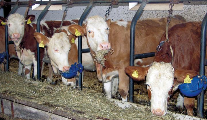 Productafbeelding Kerbl Drinkbak Allweiler K2