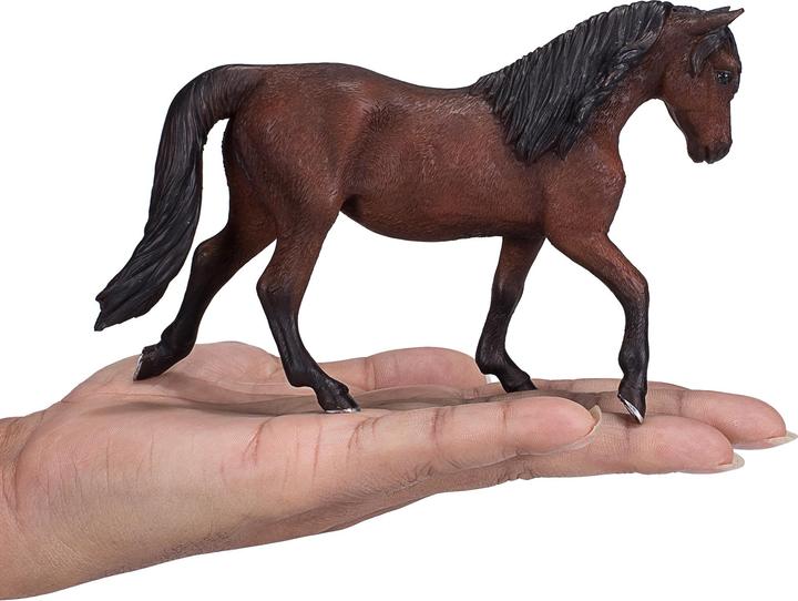 Actual product image small foot Morgan Stallion brown