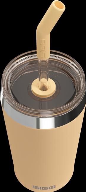 Actual product image Sigg Helia (0.45 l)