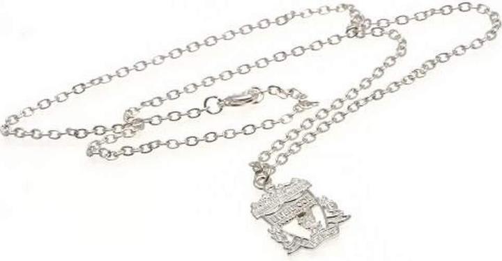 Actual product image Score Draw Crest Silver Plated Pendant And Chain (100% silver)
