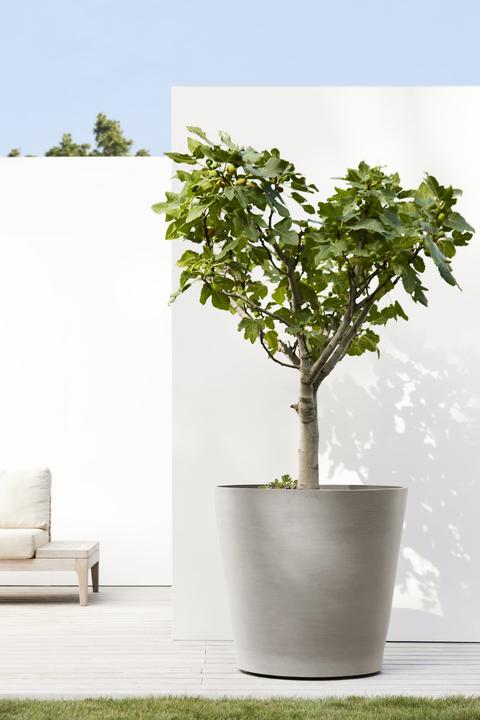 Immagine prodotto Ecopots Ruote di Amsterdam (80 x 72 cm)