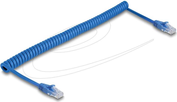 Delock RJ45 Spiralkabel Stecker zu Stecker Cat.6 UTP 0,6 m b (UTP, CAT6, 1.20 m)