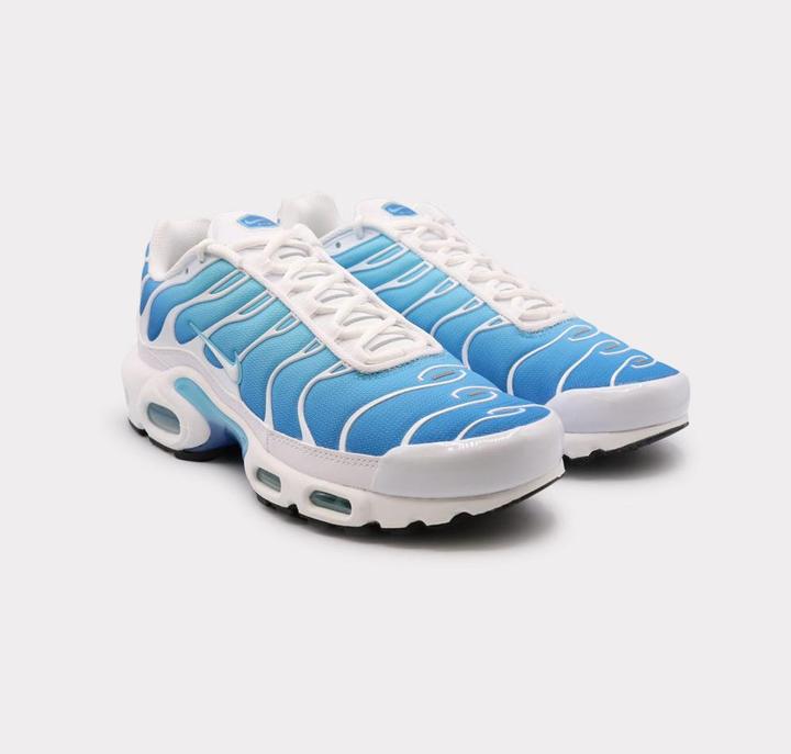 Image du produit Nike Air Max Plus (47.5)