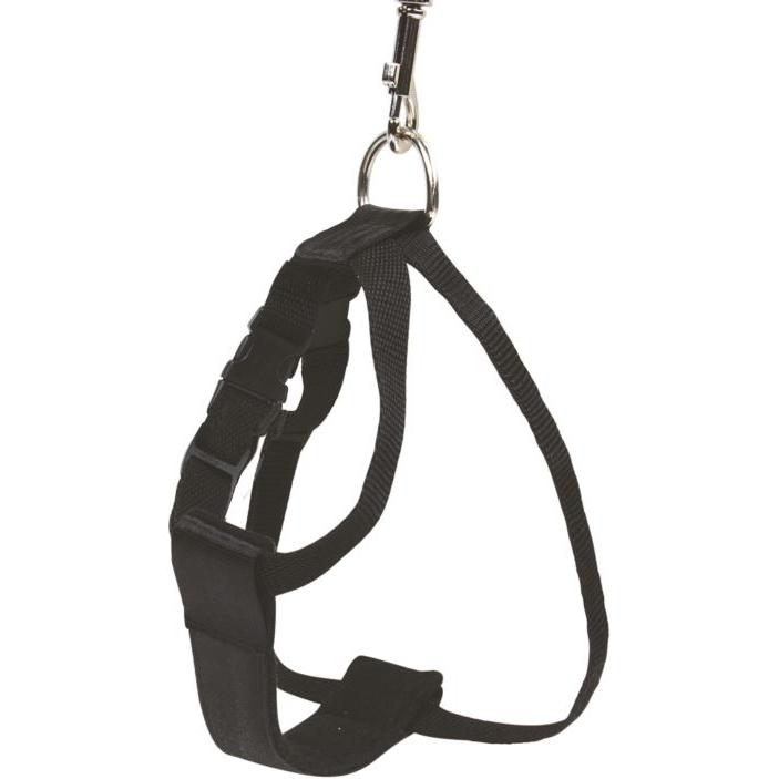 Chaba 610285 Hunde-/Katzengeschirr XL Hund Sicherheitsgurt (XL, Hund), Halsband + Leine