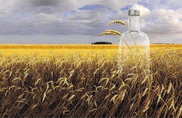 Image du produit Absolut Vodka (1 x 300 cl)
