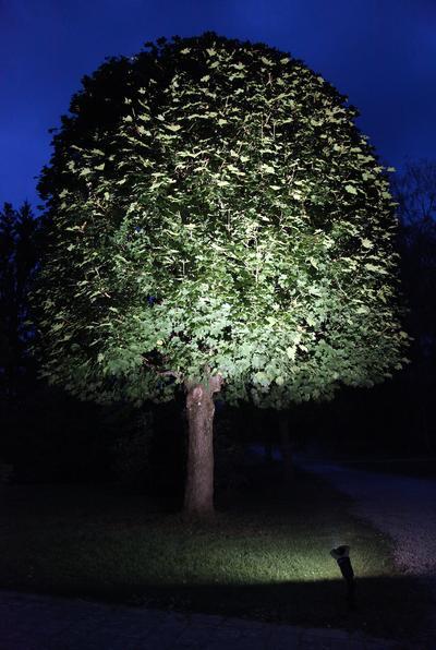 Actual product image Star Trading Spotlight (E27, 1300 lm, 1 x)