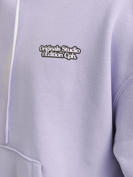Actual product image Jack & Jones Gedruckt Kapuzenpullover Kapuzenpullover (XL)