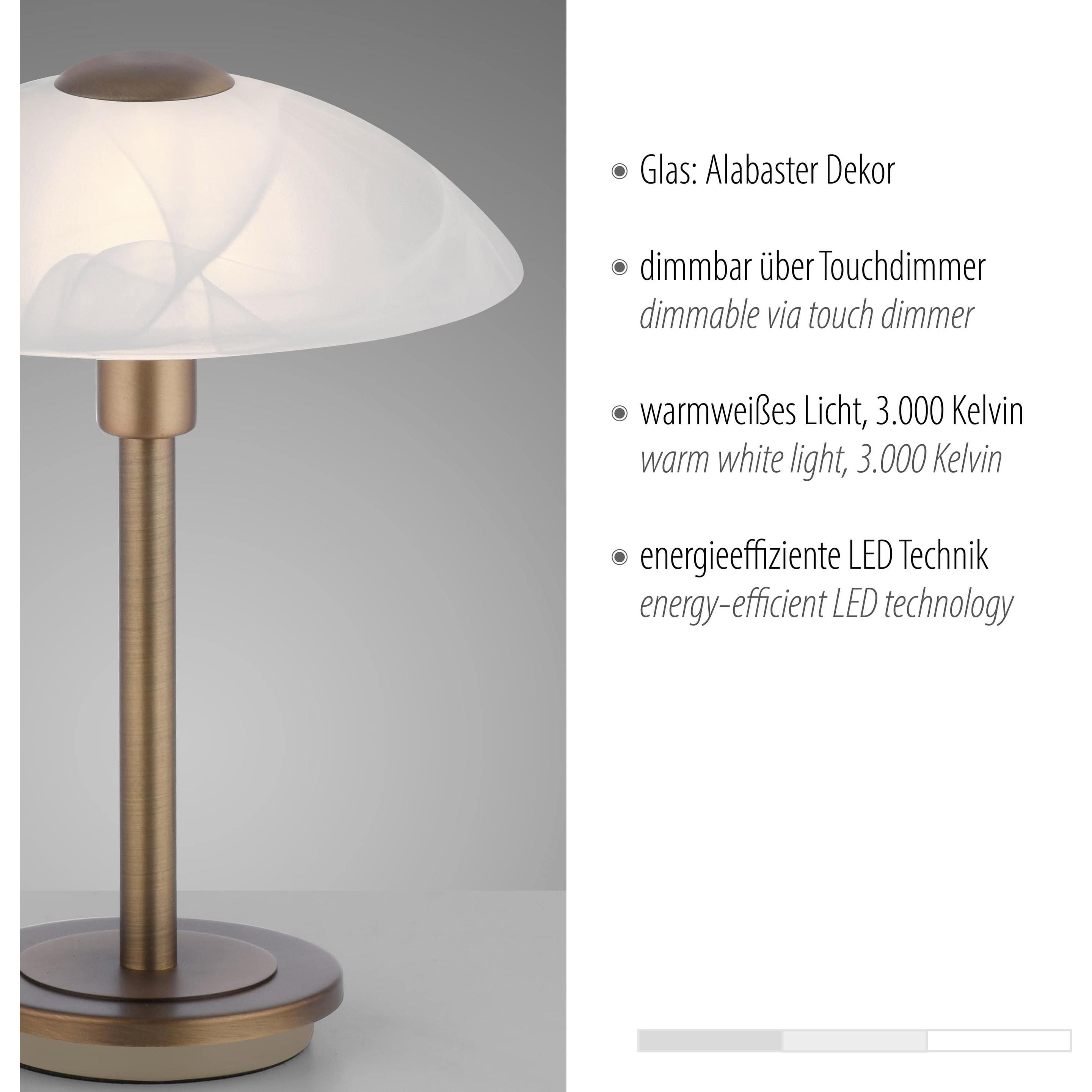 Thumbnail - Paul Neuhaus, Tischlampe, Enova (265 lm, G9)