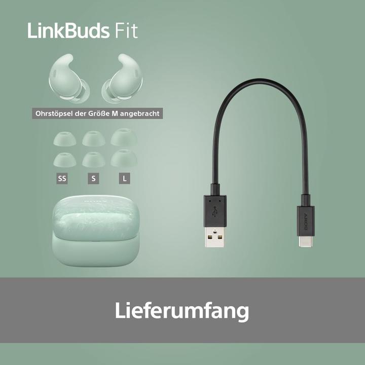 Image du produit Sony WF-LS910N (NC, 5.50 h, Sans fil)