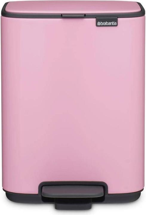 Lilac Pink, Pink, Rose