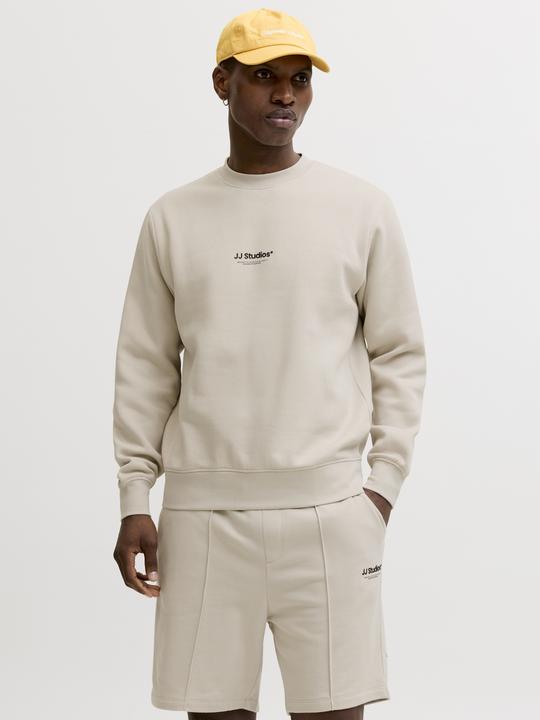 Image du produit Jack & Jones Jjesoho Sweat Crew Neck Noos (S)