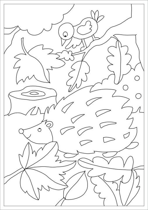 Immagine prodotto Tessloff Il mio primo blocco da colorare. Nella foresta