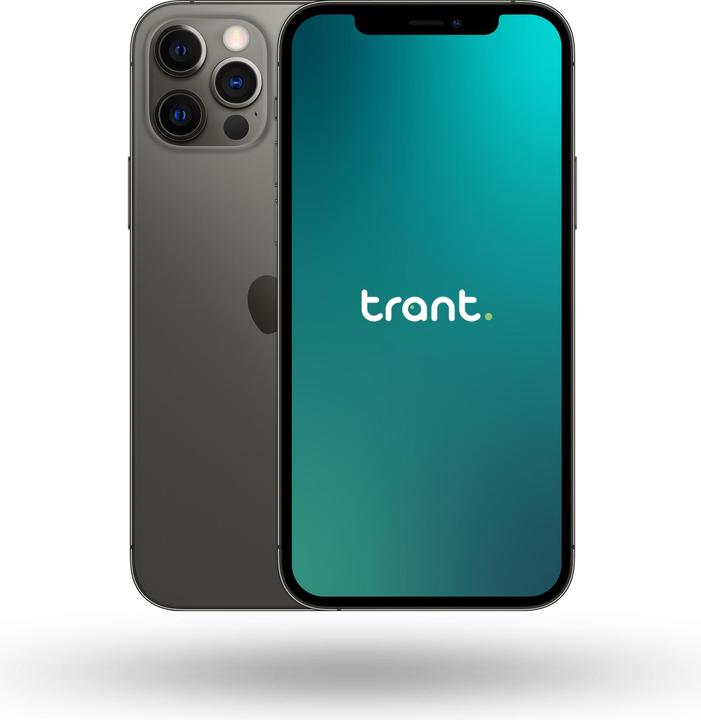 Trant.ch iPhone 12 Pro (256 GB, Graphite, 6.10", SIM + eSIM, B / Sehr gut)