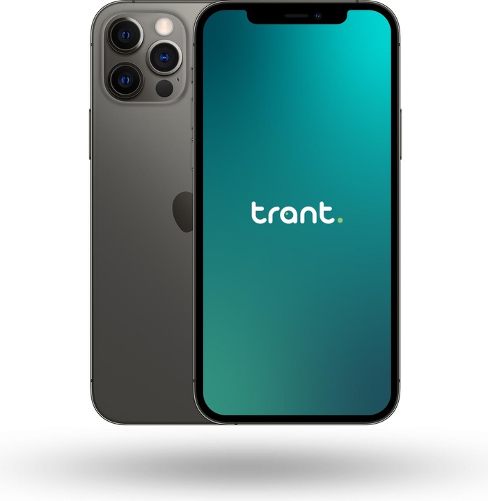 Produktbild Trant.ch iPhone 12 Pro (256 GB, Graphite, 6.10", SIM + eSIM, B / Sehr gut)