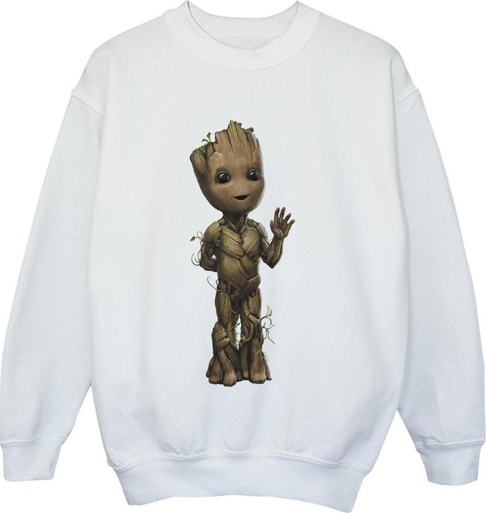 Image du produit - Sweat AM GROOT WAVE POSE - Garçon (116)