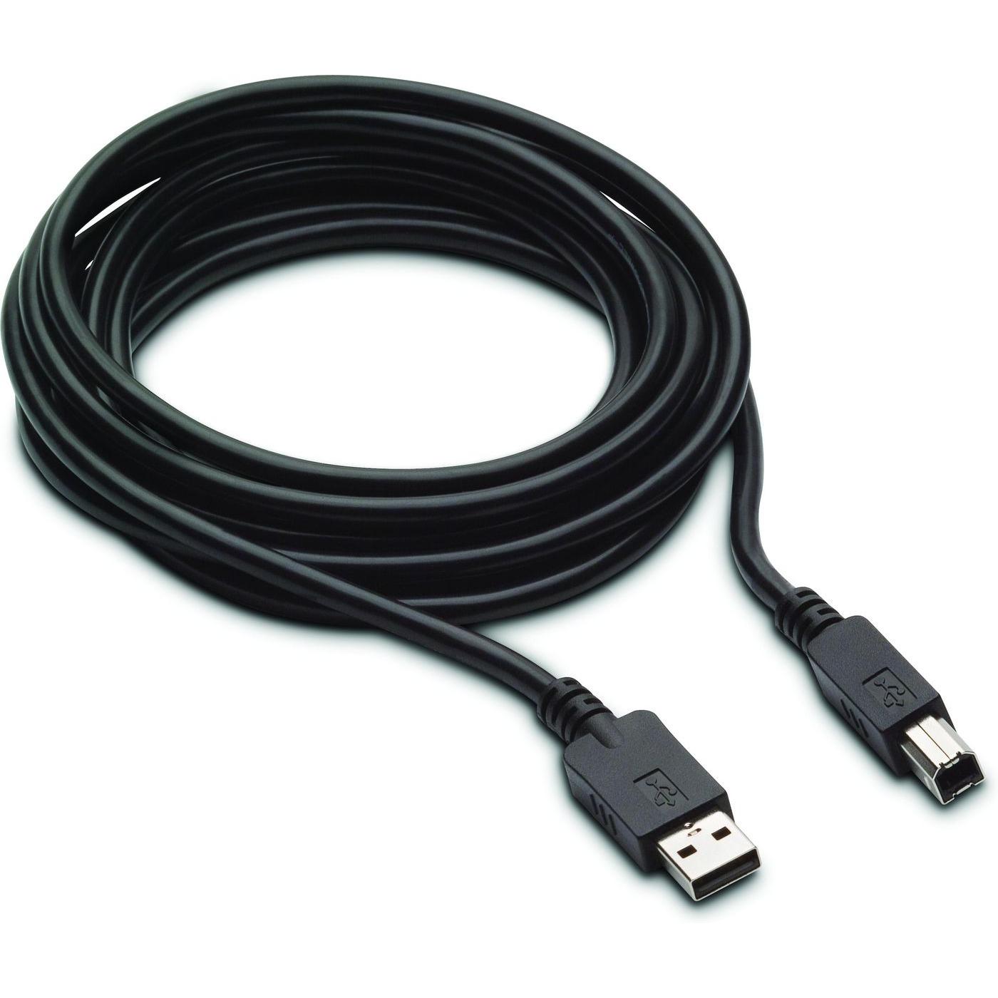 HP Dp+Usb B-A Cables (3 m, DisplayPort), Video Kabel