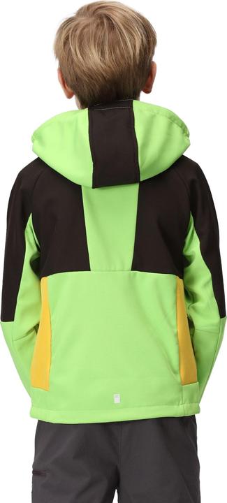 Produktbild Regatta Haydenbury Softshelljacke (146, 152)
