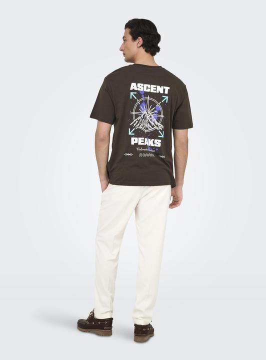 Produktbild Only & Sons Onskeane Rlx Ss Print Tee Noos (XS)