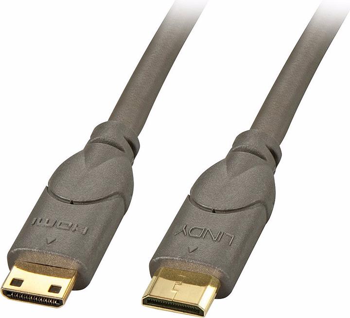 Actual product image Lindy mini HDMI (Typ C) — mini HDMI (Typ C) (0.50 m, HDMI, 2.0)