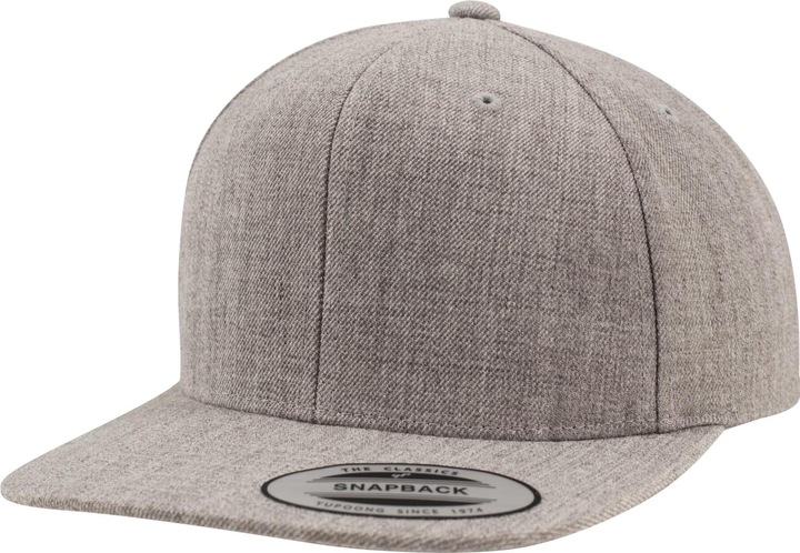 Actual product image Flexfit Snapback (One size)
