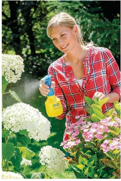 Actual product image Gloria Haus und Garten Pulvérisateur manuel Gloria Hobby 05 Flex flacon pulvérisateur de 0.5 L vaporisation sur tête (0.50 l)