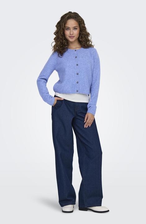 Produktbild JdY JDYCHLOE Strickjacke Strickjacke (L)