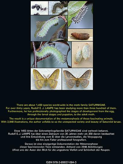 Produktbild Saturniidae of the World Pfauenspinner der Welt (Deutsch, Rudolf E. J. Lampe, 2010)