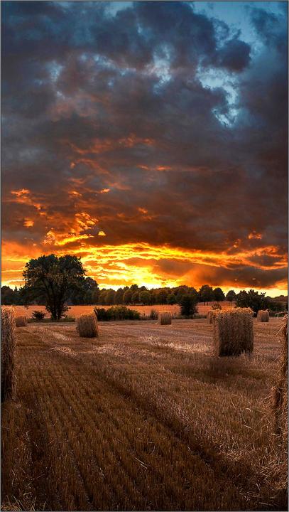 Immagine prodotto Samsung 46" VM46B-U 500NITS 24 (1920 x 1080 pixel, 46")