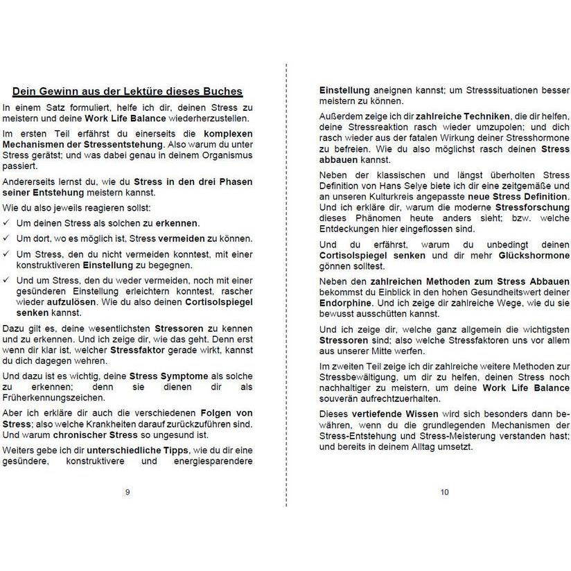 Thumbnail - Stress abbauen und Stress vermeiden, Ratgeber von Michelle Haintz