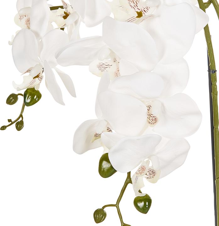 Immagine prodotto Beliani Orchidea Oncidium (59 cm)