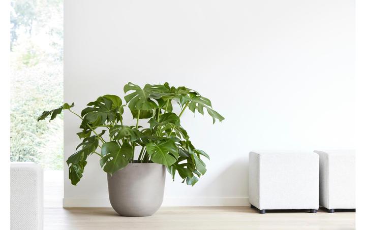 Actual product image Ecopots Oslo (45.50 cm)