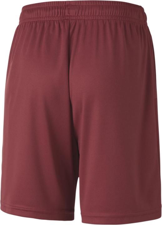 Actual product image Puma teamGOAL 23 knit shorts jr-704263 (116)